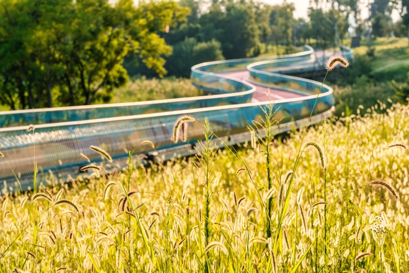 一排独木舟停在田野中央