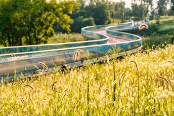 一排独木舟停在田野中央