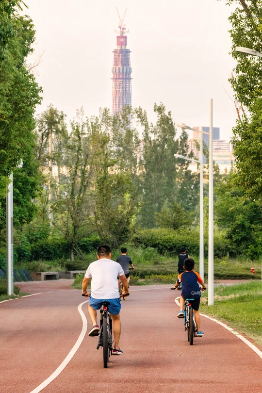 人们在公园的自行车道上骑自行车