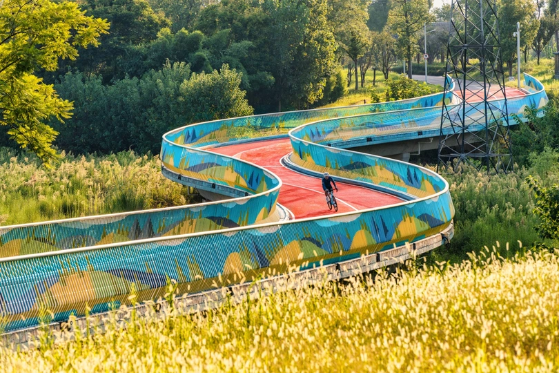 两条空独木舟停在一片草地和树林中间