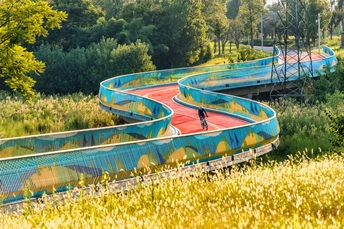 两条空独木舟停在一片草地和树林中间