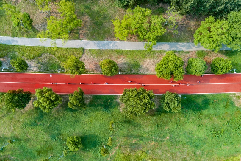 绿地中红色道路的鸟瞰图