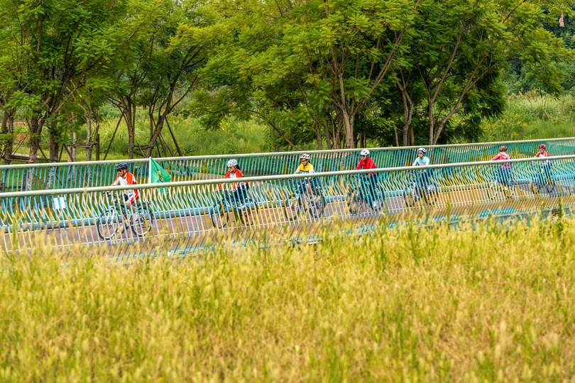 人们骑着自行车在高高的草地上过桥