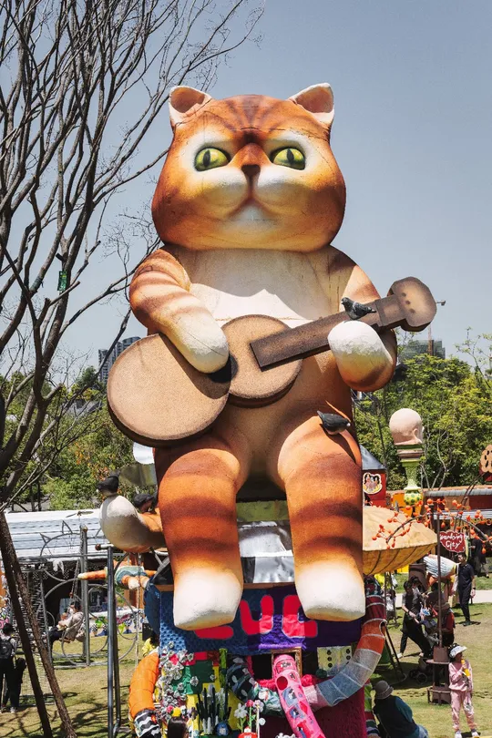 一只橙色和白色的猫在漂浮物上