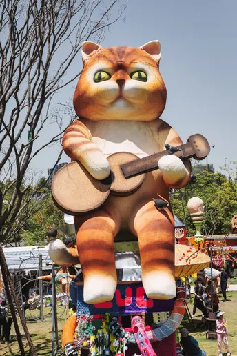 一只橙色和白色的猫在漂浮物上