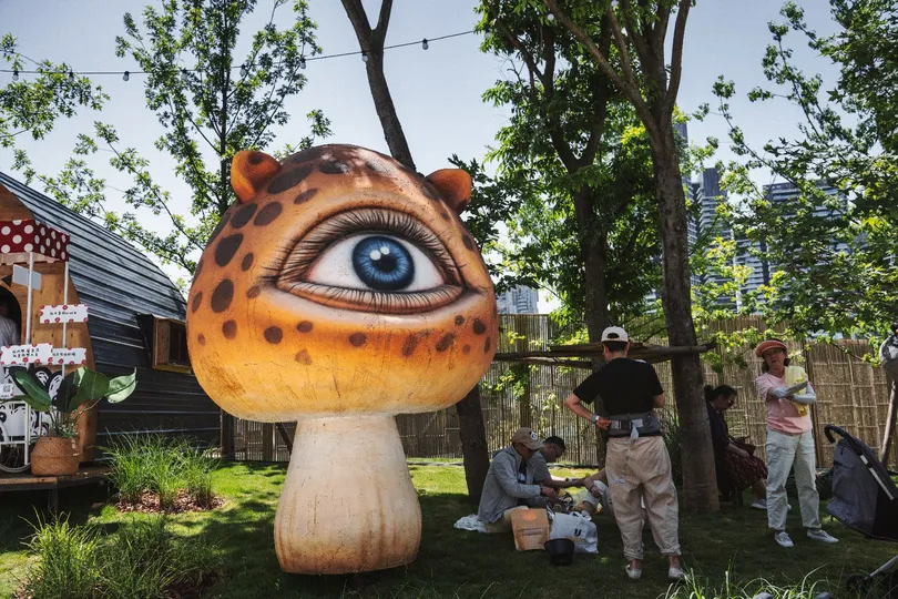 人们站在一所房子的院子里 盯着它看。