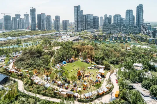 城市中的公园 aerial view