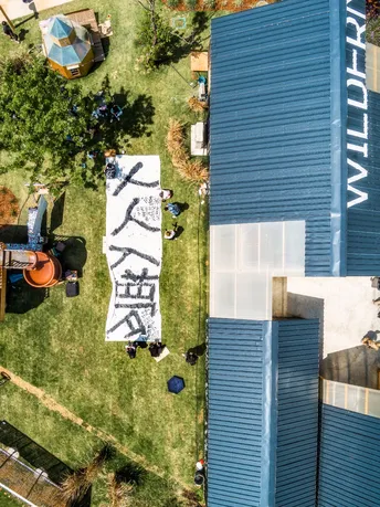 带有屋顶草的房子的后院 aerial view