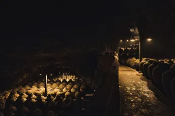 晚上一群人走在一条黑暗的街道上