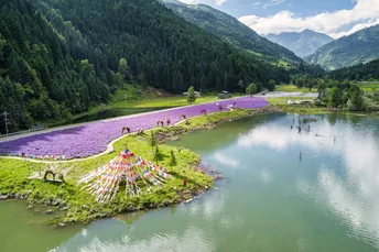 一个小湖 湖中开满了紫色的花 在一个美丽的山谷中。