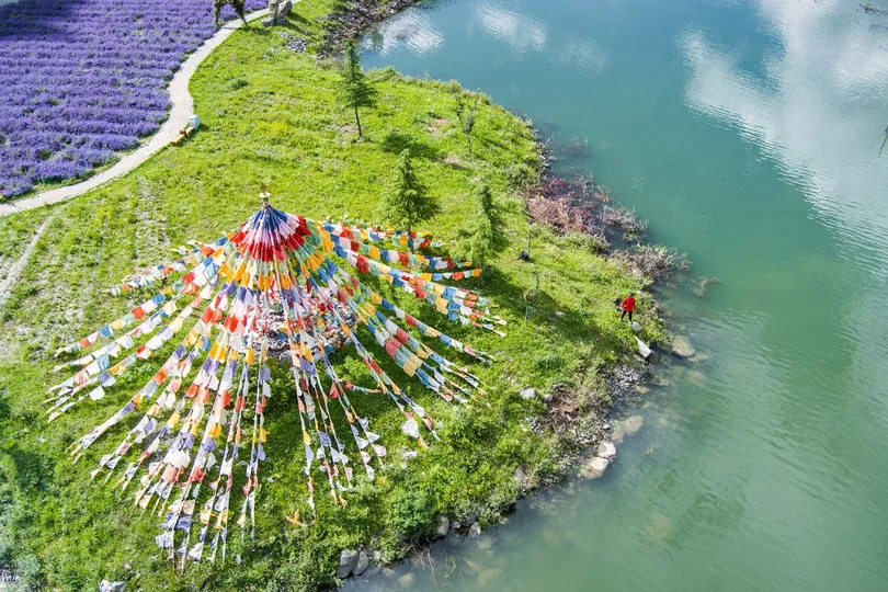 湖中的一个岛屿 周围是五彩斑斓的花海。