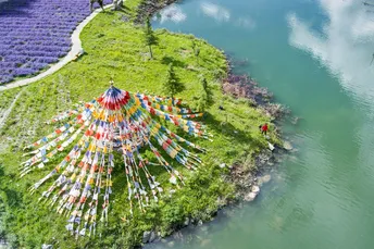 湖中的一个岛屿 周围是五彩斑斓的花海。