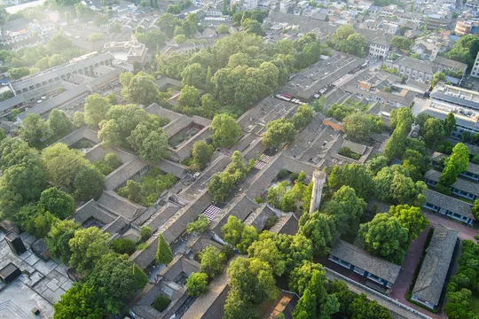 城市 aerial view with green trees and streets