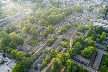 城市 aerial view with green trees and streets