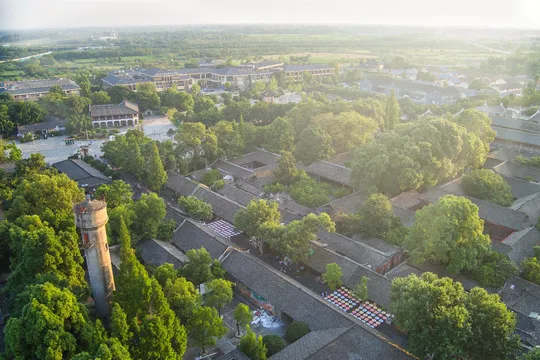 城市中的房屋和树木的空中视角