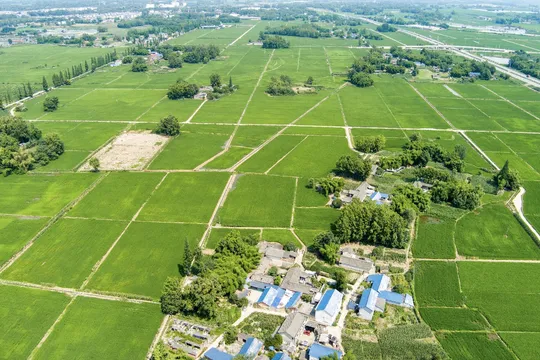 大型庄园的空中视角 绿意盎然的田地和树木