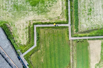 绿色田野的 aerial landscape 带有公路