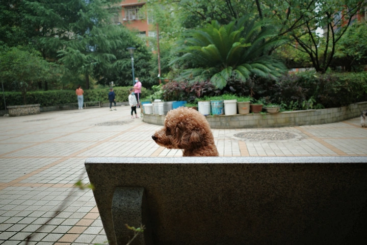 来一张侧影