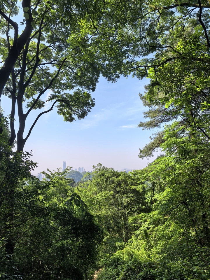 山中有城