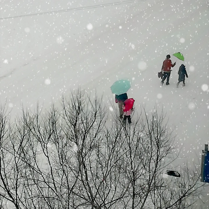 雪韵