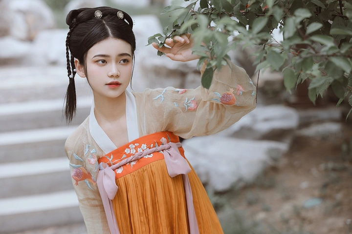 芥子记