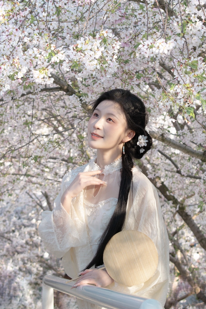 白色樱花