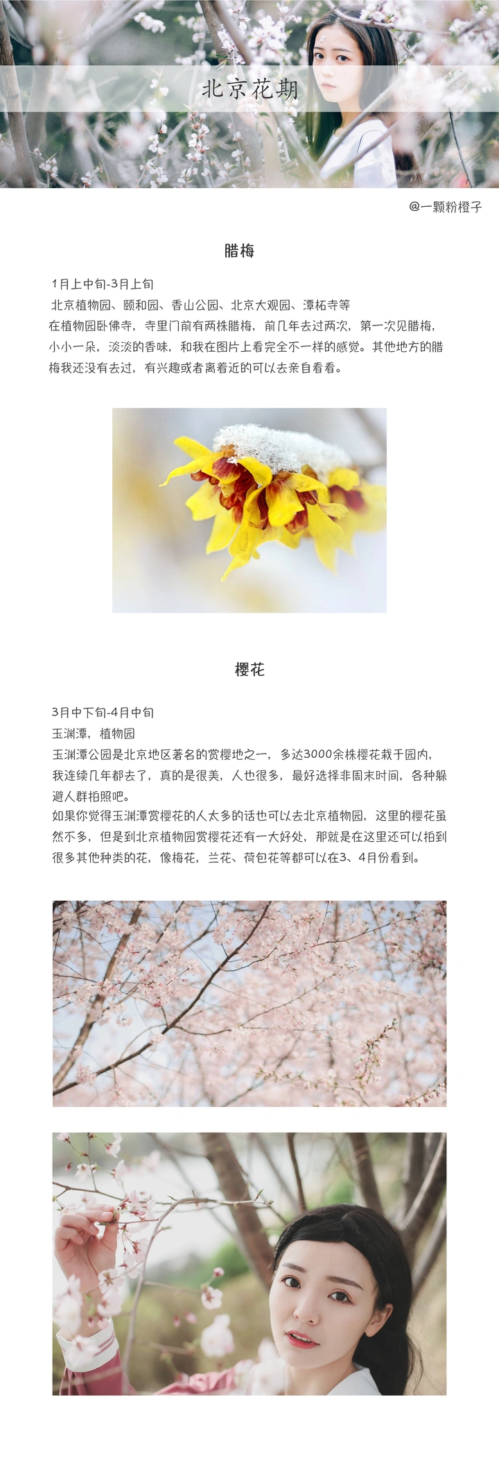 北京花期