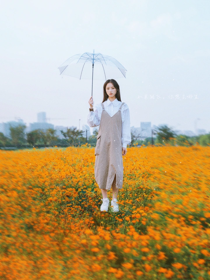 如果能飞·你想去哪里
