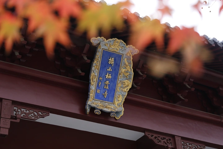 #栖霞山#