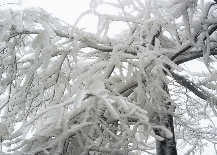 你的城市还下雪吗