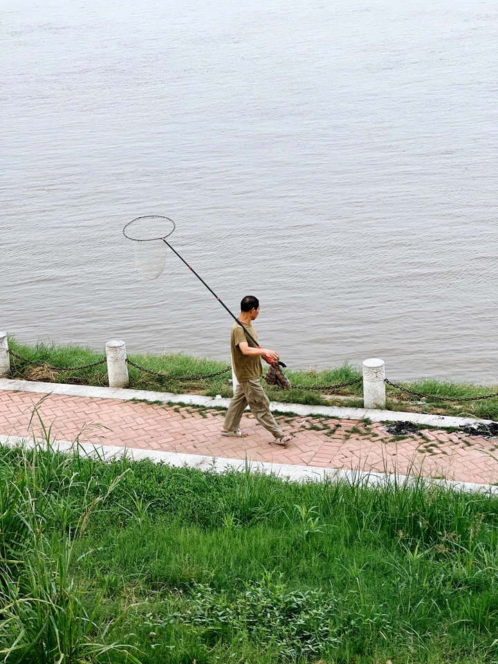 湘江边随拍