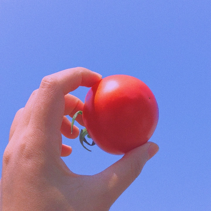 🍅