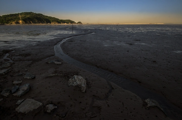 流向大海