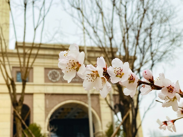 春暖花开