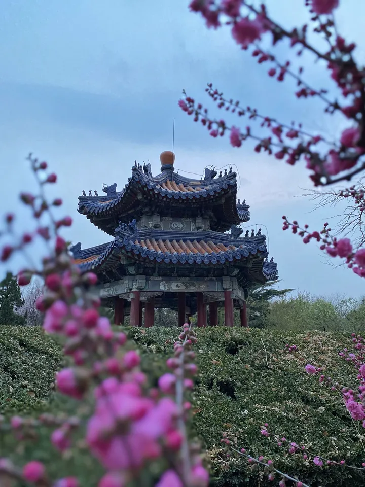 春和景明
