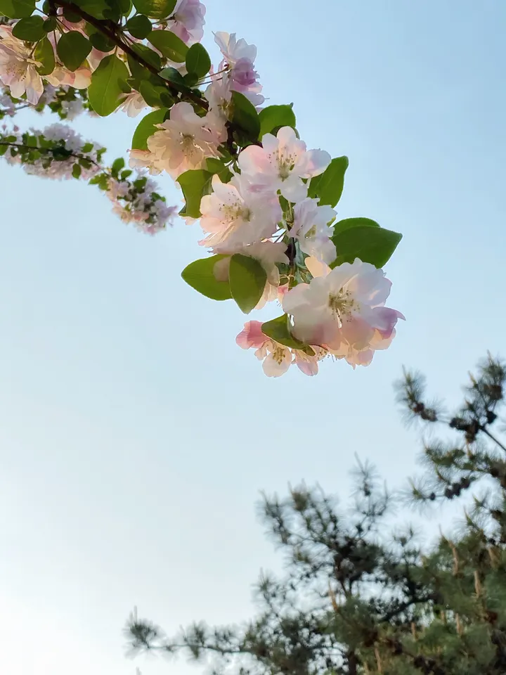 小景