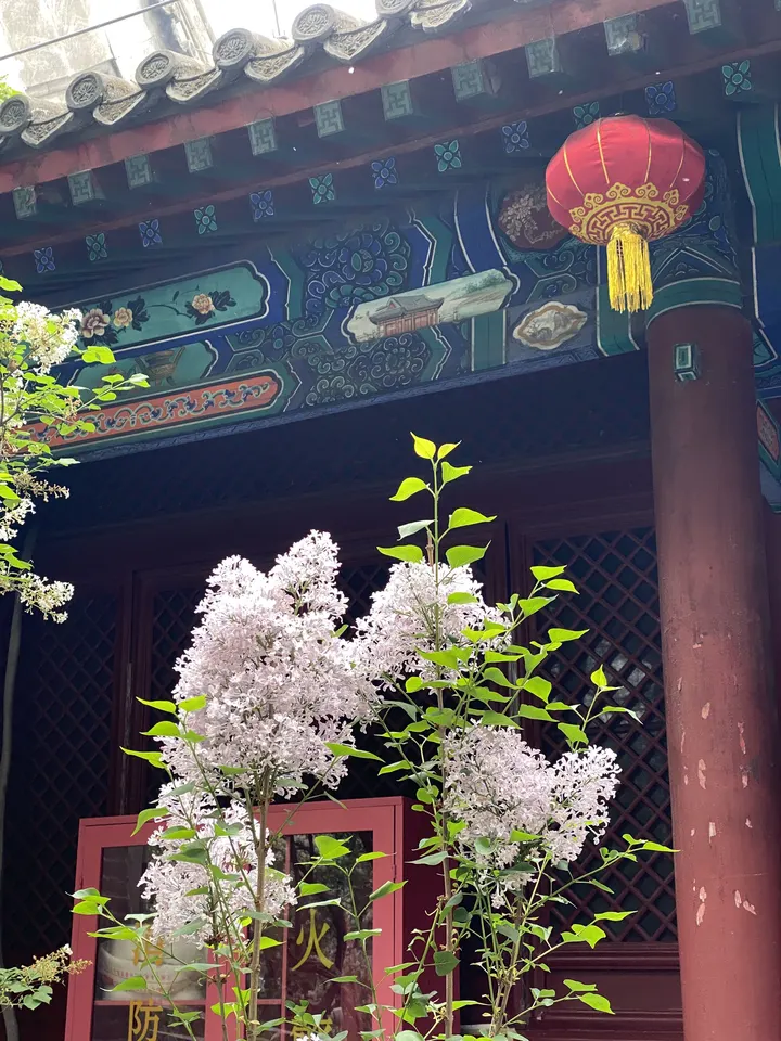 打卡法源寺