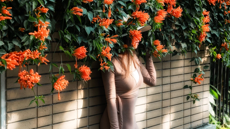 一位女性靠在墙上 头上戴着橙色花朵