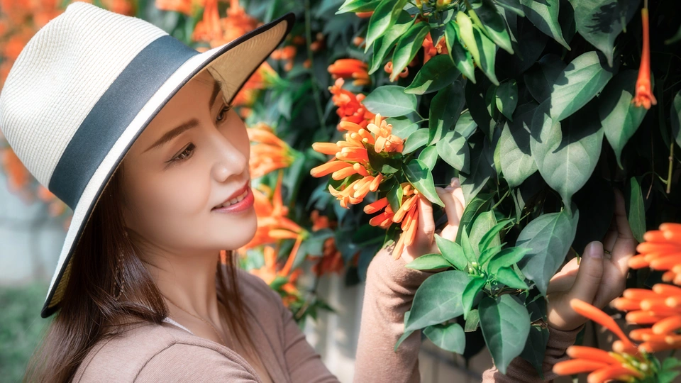一位美丽的年轻女士戴着条纹帽子 正在看橙花。