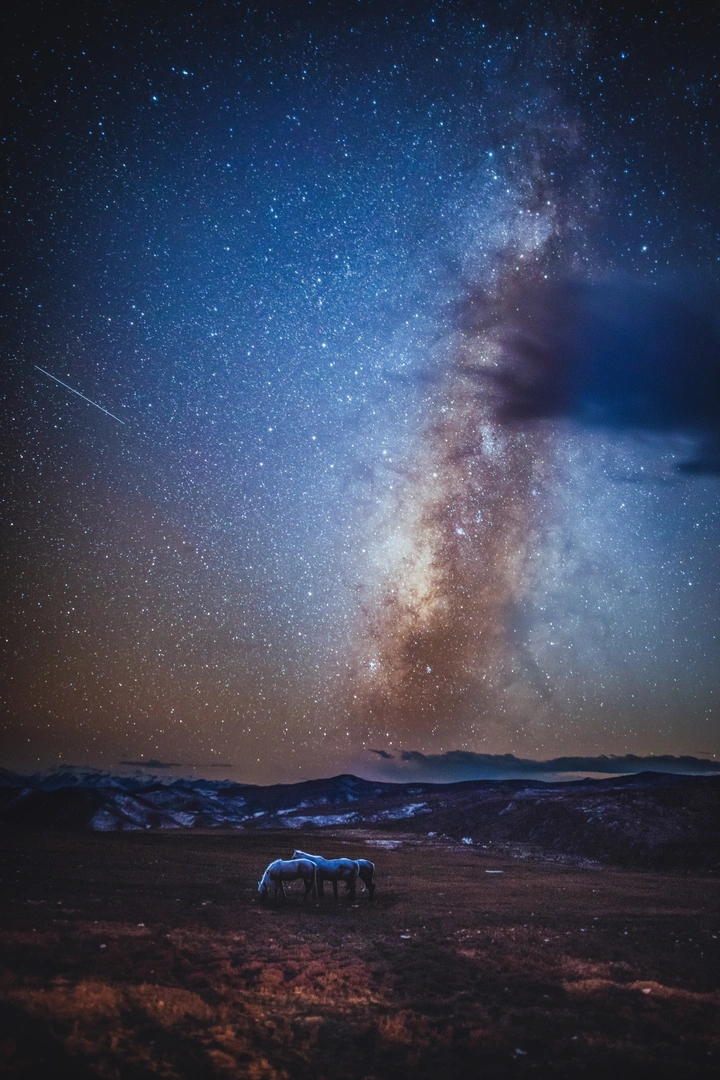 星空下的白马