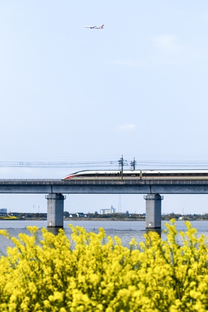 一列火车穿越一大片黄花的田野 天空中有一架飞机。