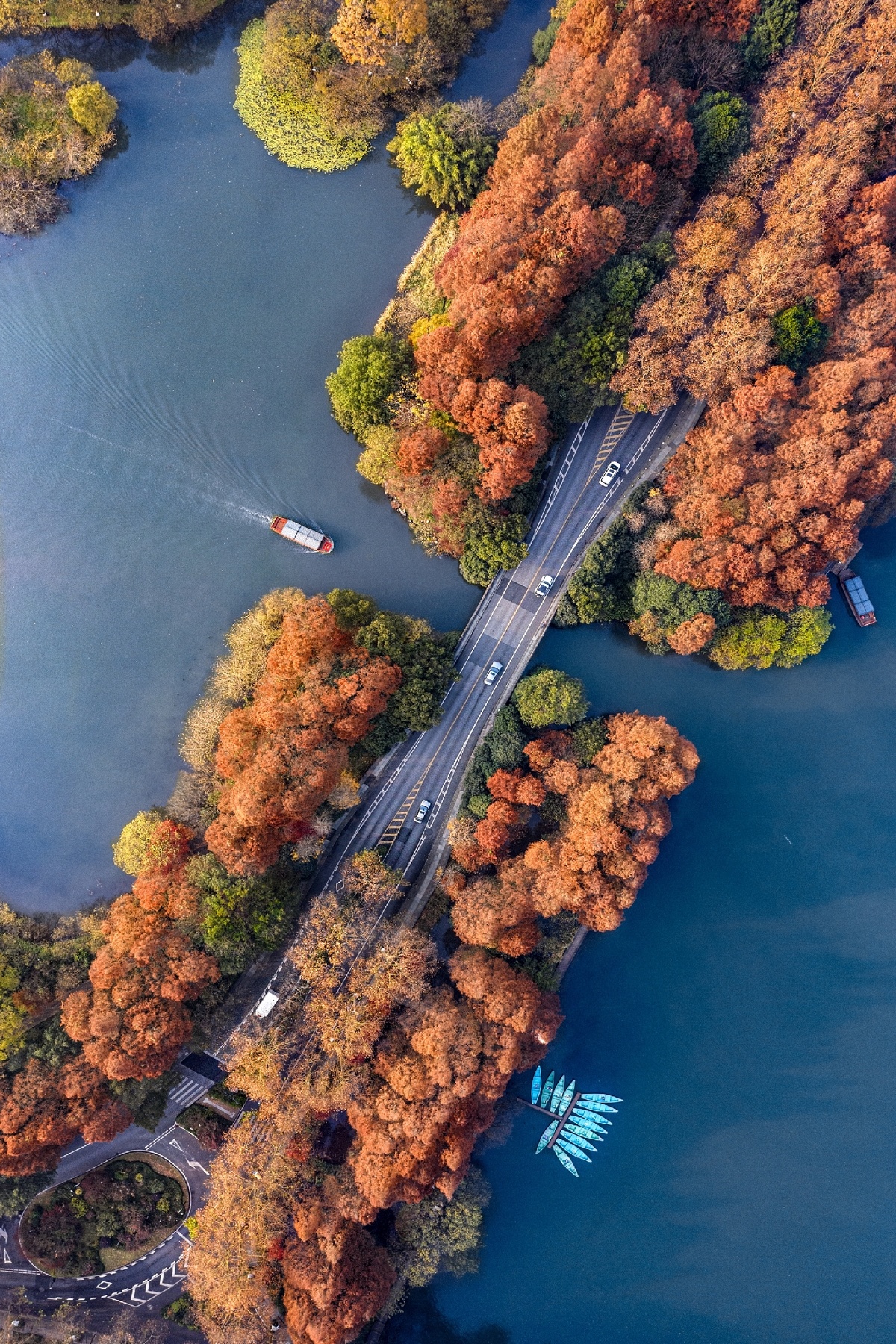环绕着树木和森林的湖泊 aerial view of a lake surrounded by tr