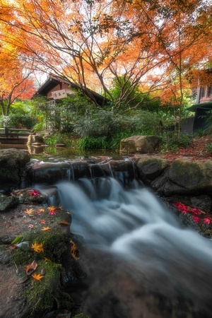 秋天花园中的小瀑布 背景有树木和房子