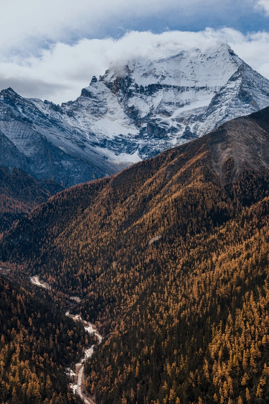 一片白雪皑皑的山脉 山谷中有树木和一条河流。