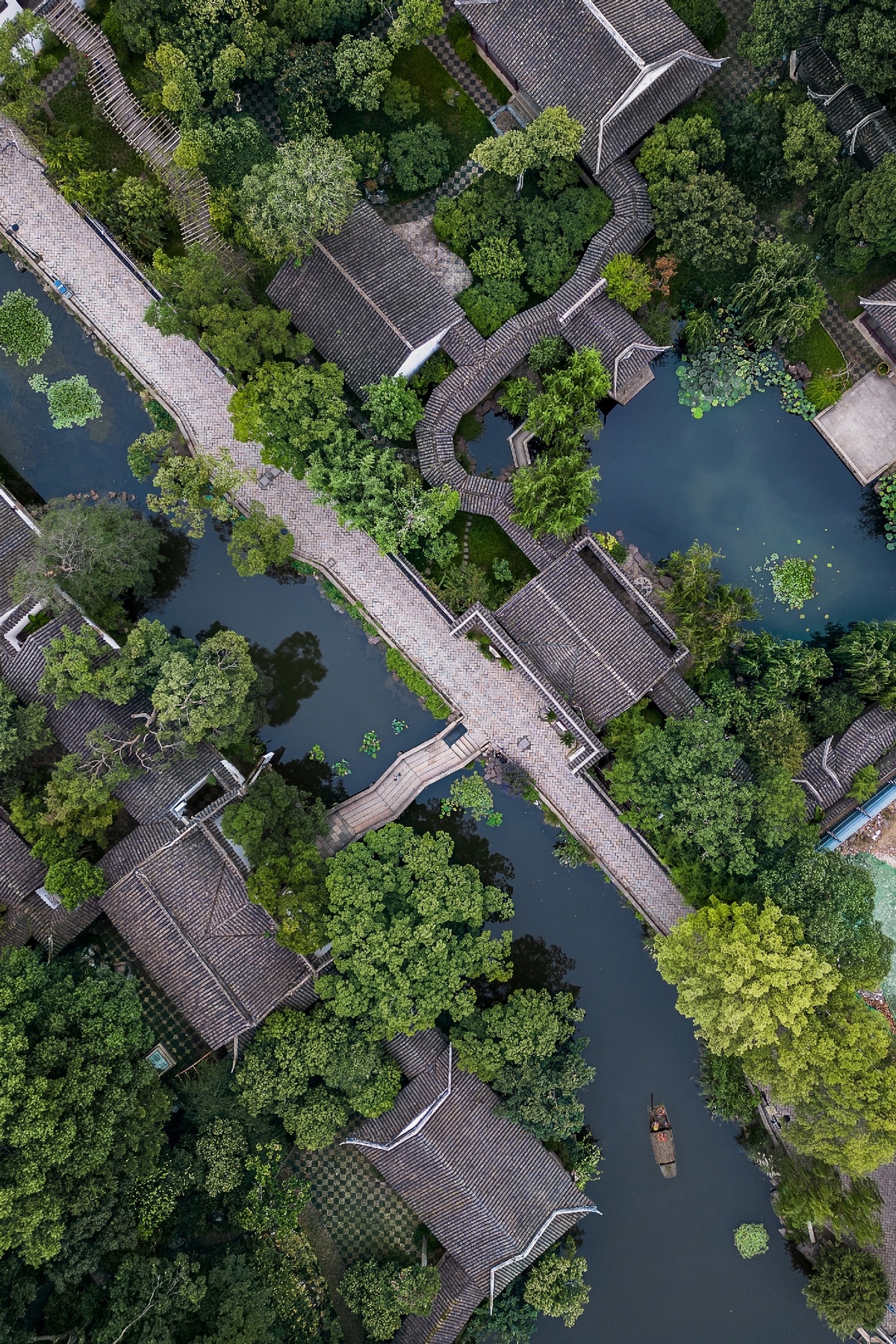 河流被树木、房屋和一座桥环绕的空中视角
