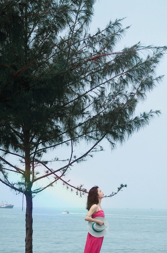 一位穿着粉红色连衣裙的年轻女子手持飞盘站在海滩旁的一棵树旁