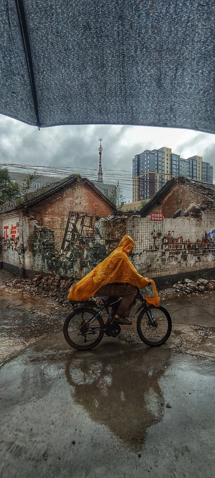 危雨