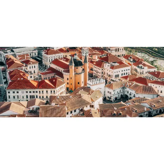 panoramic photograph of an old town with red roofs