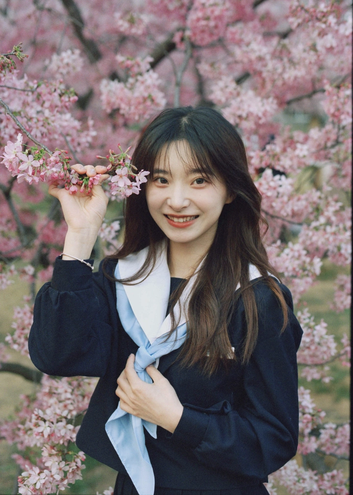樱花樱花想见你