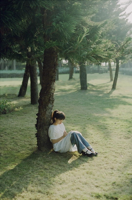 一个年轻女子坐在树下草坪上阅读一本书